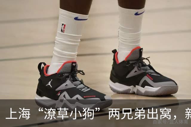 上海“潦草小狗”两兄弟出窝，新版球场造型萌翻天！