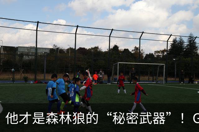 他才是森林狼的“秘密武器”！Gonzaga传奇重回赛场